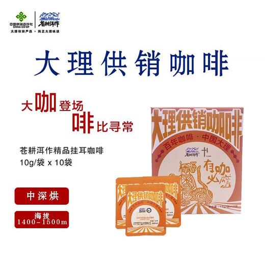 云南粉波旁（水 洗）挂耳10g*10袋 商品图0