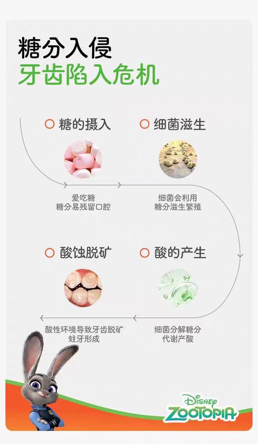 兔头妈妈儿童抗糖防蛀果味牙膏-尼克、朱迪、豹警官款60gTTMM-421041/TTMM-421058/TTMM-421065 商品图5
