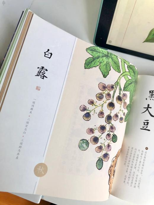 《中国本草图谱》听“本草”独白，品人间清欢 商品图4