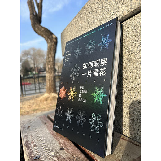 如何观察一片雪花：探索冬之精灵的隐秘之美 商品图3
