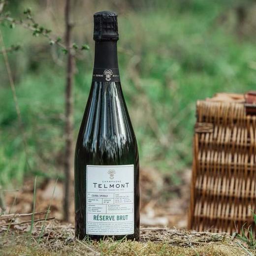 TELMONT玳慕法国甄选进口香槟750ml高端葡萄酒 商品图1
