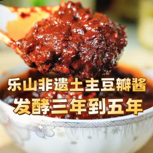 乐山非遗土主豆瓣 古法发酵 川味烹饪必备 四重发酵老缸酿 酱香醇厚辣而不燥 商品图0
