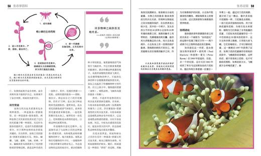 生态学百科（全彩） 商品图2