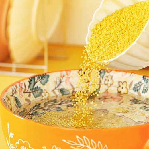 梦思香金苗小米1kg 商品图8