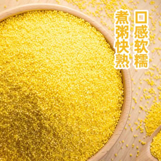 梦思香金苗小米1kg 商品图6