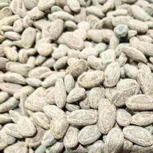 吊瓜子（奶香味）（500±50g) 商品图0