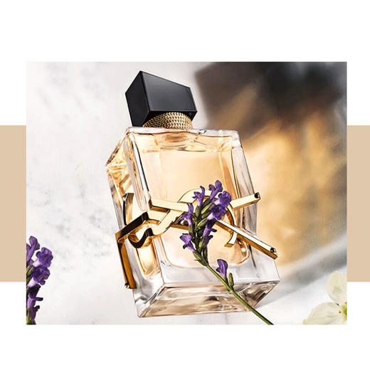 【送礼盒礼袋】YSL圣罗兰彩妆三件套 自由之水50ml+小金条2.2g+黑皮革气垫5g（B10） 一般贸易 商品图2