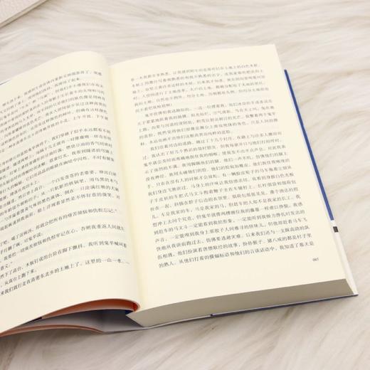 生死疲劳 商品图4