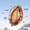 海鲜世家福建冷冻大鲍鱼净重360g 8粒 火锅烧烤食材 生鲜贝类海鲜 商品缩略图0