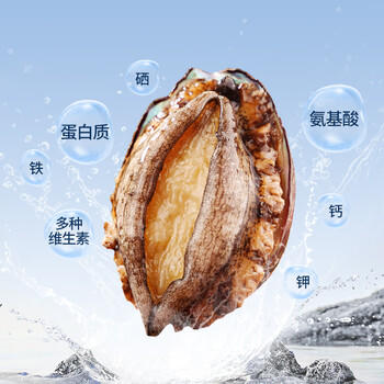 海鲜世家福建冷冻大鲍鱼净重360g 8粒 火锅烧烤食材 生鲜贝类海鲜 商品图0