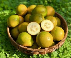 大理宾川脆皮金桔1kg