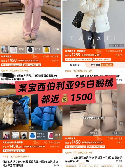 正品保真西伯利亚进口飞天95白鹅绒泡芙三防鹅绒服 商品图2