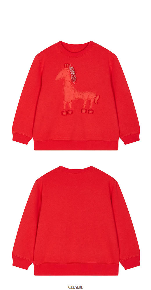 jnby  26年春款  套头卫衣 1Q2410870 商品图6