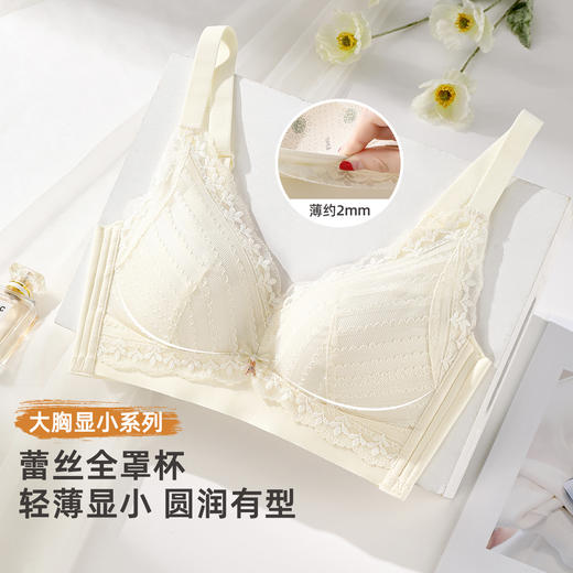 雅黛俪大胸显小显瘦女士文胸轻薄透气性感蕾丝全罩杯内衣胸罩 商品图2