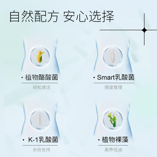 #2024升级版#Dr.Watanabe丸治益生 Smart Slim Gold Euglena PLUS益生菌瘦子菌纤体 商品图2