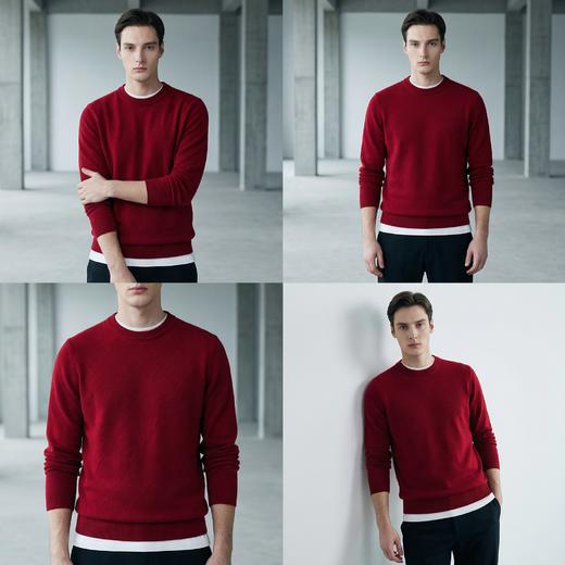 PALUOPO/PL山羊绒男装羊绒衫100%山羊绒帕罗 商品图7