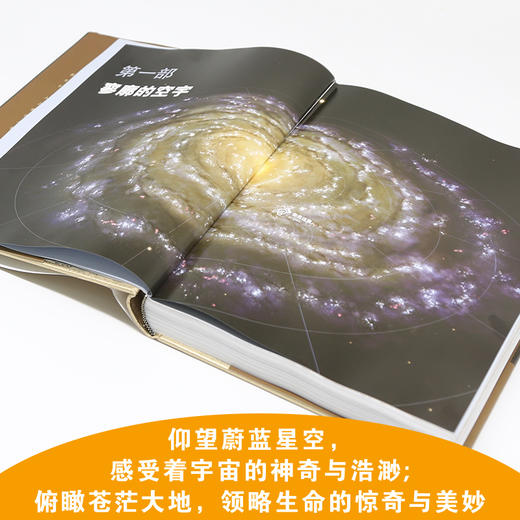 万物简史（彩图珍藏版） 商品图1