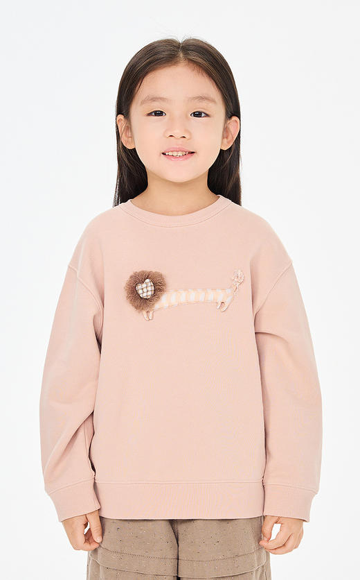 jnby  26年春款  套头卫衣  1Q2411750 商品图6