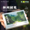 林间初见 | 有机茶多风味体验盒（红茶&时光） 商品缩略图4