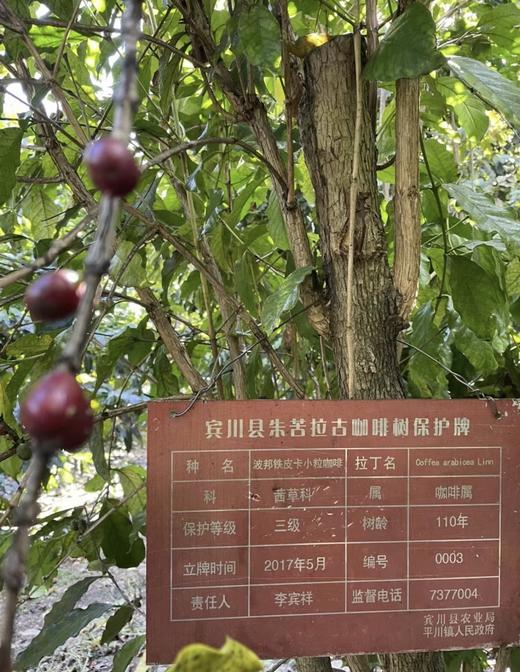 启咖缘咖啡礼盒（两罐装227g*2） 商品图9