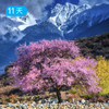 春季限定｜川藏南北线 林芝桃花+金川梨花 11日 商品缩略图1