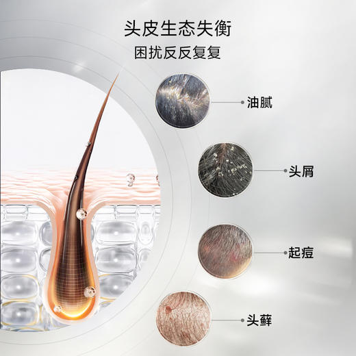 【2025升级版】Dr.Watanabe丸治益生焕发韧发NMN焕黑丸 商品图2