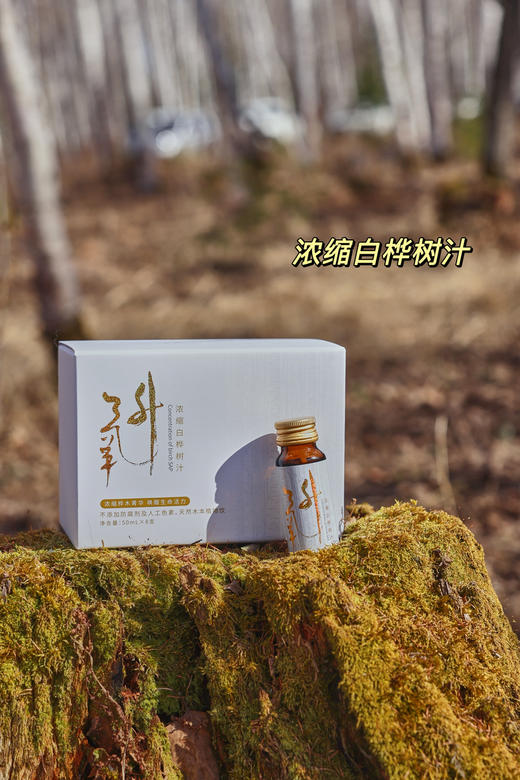 2月10日-25日停发！【10倍浓缩白桦树汁】 大自然的馈赠 生命能量汁水  补充能量  唤醒身体活力 应酬聚会解酒 多效合一 商品图6