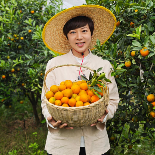 清新浸潭脆蜜金桔1斤装/袋 商品图0