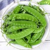 云南高原新鲜现摘荷兰豆当季蔬菜农家自种产地直发清香美味肉质细嫩农家美味菜肴 商品缩略图1