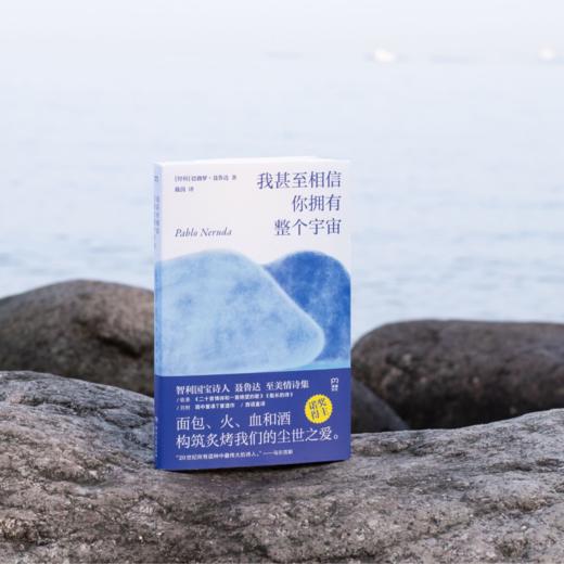 【浦睿】我甚至相信你拥有整个宇宙 智利诗人聂鲁达世间至美情诗集 商品图4