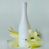 豆豆LAB 糯言米就MIJOOO小白瓶起泡酒（视频米其林同款）320ml*2支（3月2号发货）全网最低价92.5元 商品缩略图6