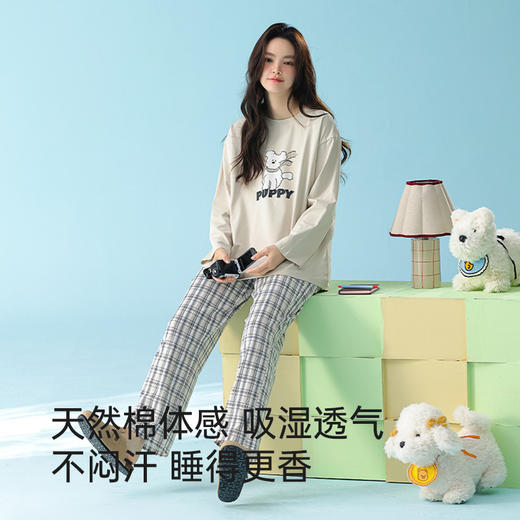 全棉抗菌防螨睡衣（puppy） 商品图2