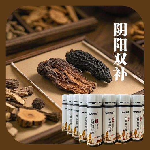 发酵肉苁蓉地黄植物饮品 商品图1