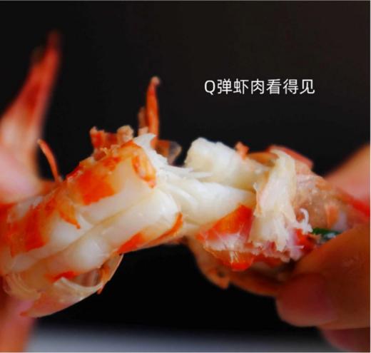 舟山野生蓝尾竹节虾 | 家宴C位 时令新鲜 到港直发 不包冰！足斤足两！ 虾肉紧实白嫩 口感鲜甜 商品图4