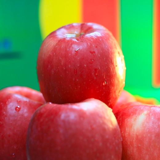 四色苹果礼盒 瑞雪、红富士、黄金维纳斯、瑞香红 顺丰发货 商品图5