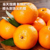 【爆甜多汁】久雅优鲜 广西沃柑 7.5 斤礼盒 65-70mm28枚A果 皮薄肉厚 商品缩略图6