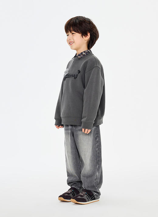 jnby  26年春款  套头卫衣  1Q2411750 商品图11