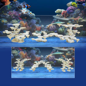 200缸块状烧制款造景