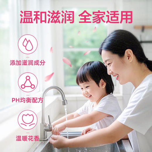 滴露 洗手液滋润倍护500g 商品图6