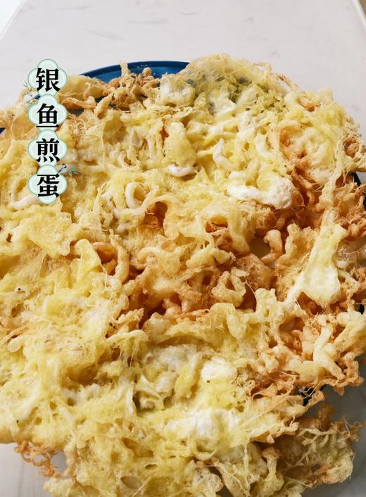 【读本研学】暖冬南迁！抚仙湖4天3晚亲子研学营：帆船逐浪、对话5亿年生命 商品图5