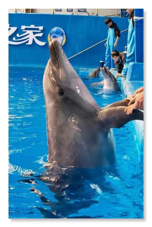 【读本研学】暖冬南迁！抚仙湖4天3晚亲子研学营：帆船逐浪、对话5亿年生命 商品图2