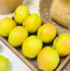 新疆库尔勒香梨礼盒2.5kg