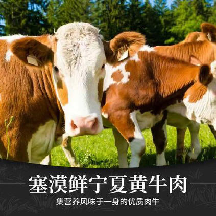 石家庄优选仓库速达，塞漠鲜宁夏黄牛+盐池滩羊，生态牧场，草饲喂养，自然散养好牛肉，净含量300g-500g/袋 商品图0