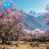 春季限定｜川藏南北线 林芝桃花+金川梨花 11日 商品缩略图0