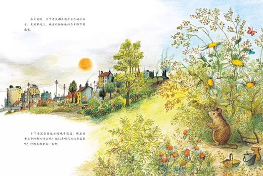 【点读版】贝妮黛·华兹经典童话绘本：城市老鼠和乡下老鼠（平） 商品图1