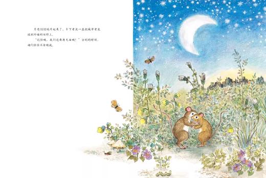 【点读版】贝妮黛·华兹经典童话绘本：城市老鼠和乡下老鼠（平） 商品图4