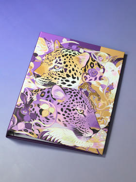 华北豹A5硬壳卡册外壳收纳