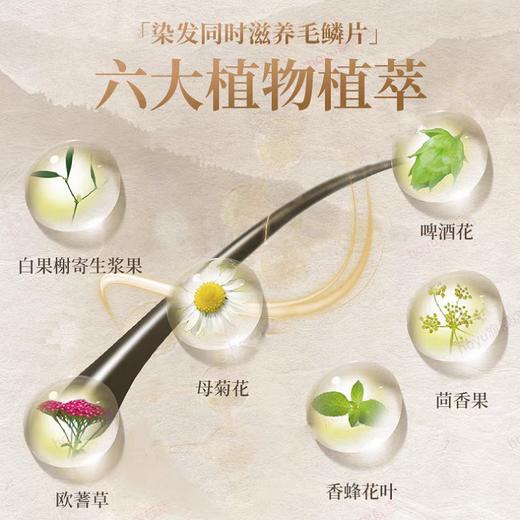 美源发采染发剂(#882 棕黑色) 商品图3