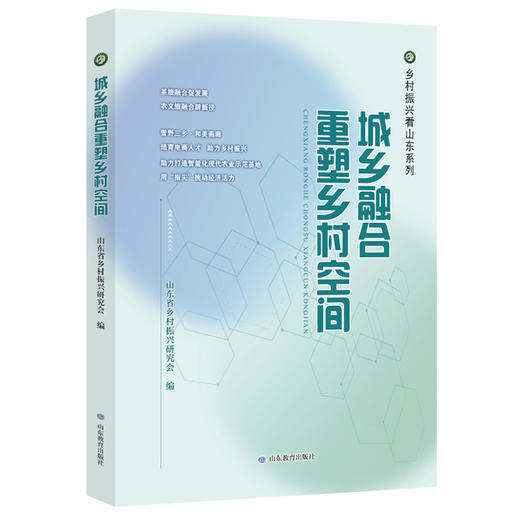 城乡融合重塑乡村空间 商品图0