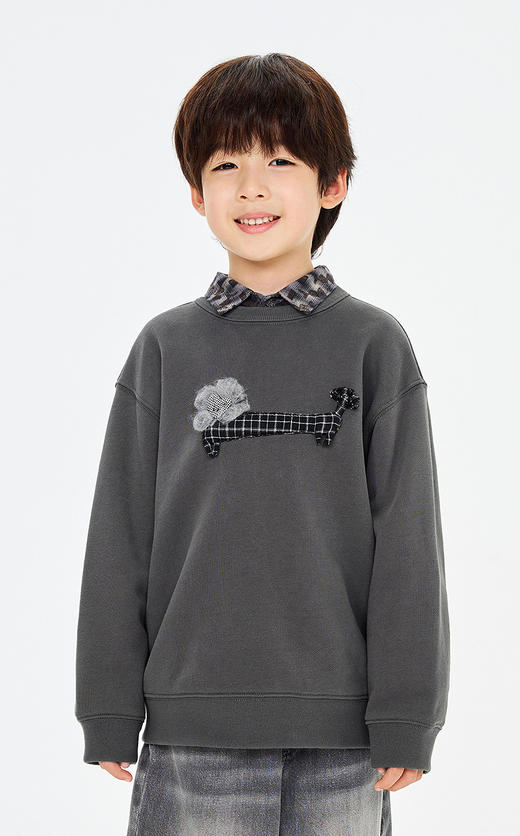 jnby  26年春款  套头卫衣  1Q2411750 商品图9